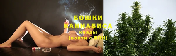 ПСИЛОЦИБИНОВЫЕ ГРИБЫ Балахна