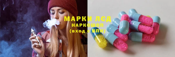 дживик Сатка