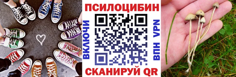 Псилоцибиновые грибы MAGIC MUSHROOMS Кстово