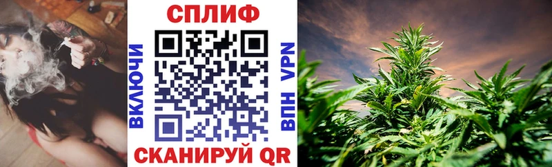Бошки Шишки гибрид  darknet какой сайт  Кстово  купить наркотики цена  MEGA ссылка 